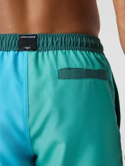 Borg Blocked Swim Shorts