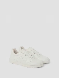 Men's Ollie Waterbased Sneakers