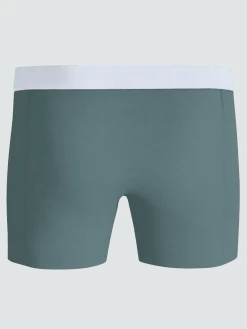 Organic Cotton Stretch Boxers 2-pack