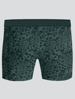 Organic Cotton Stretch Boxers 2-pack