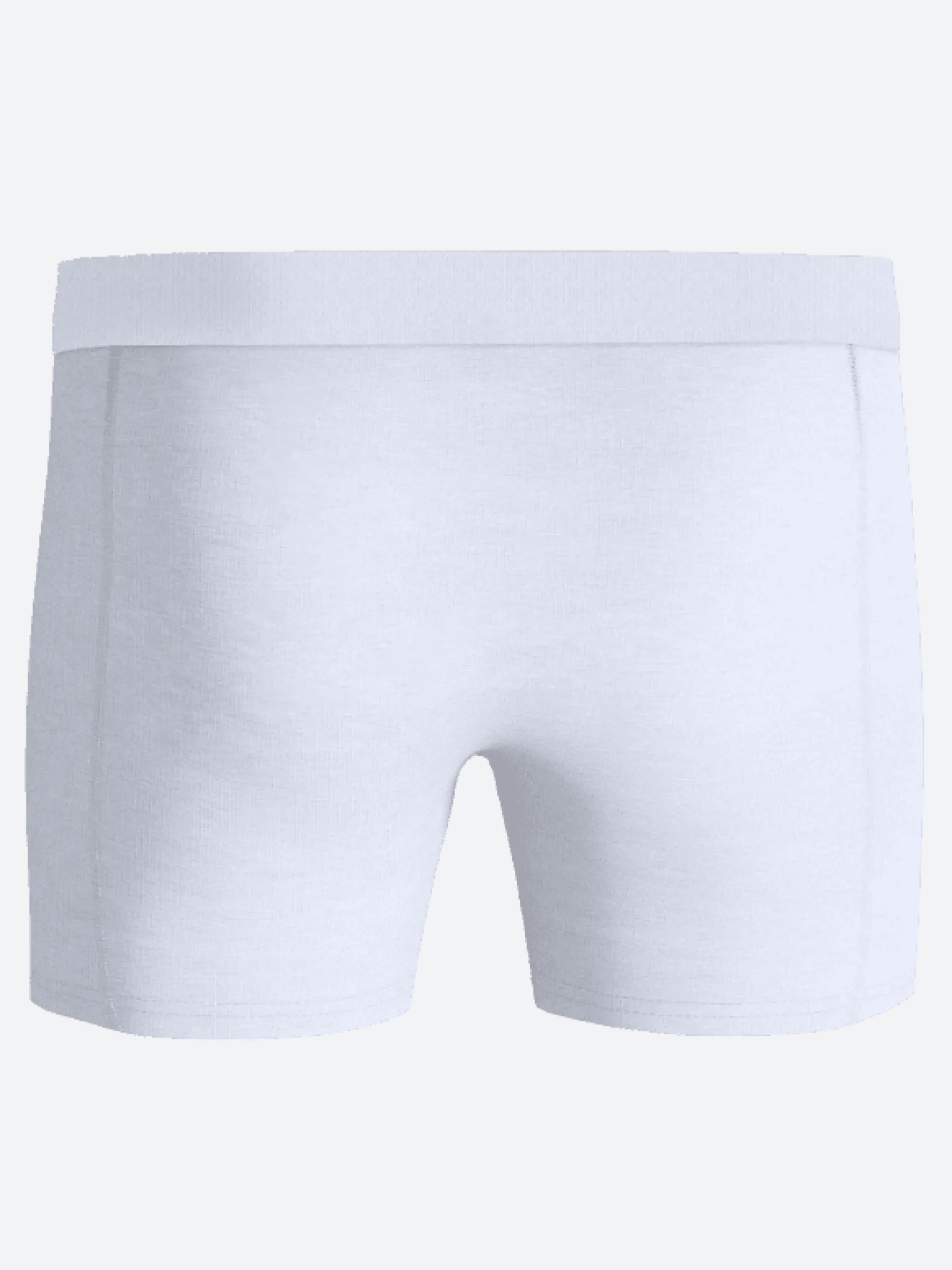 Organic Cotton Stretch Boxers 2-pack