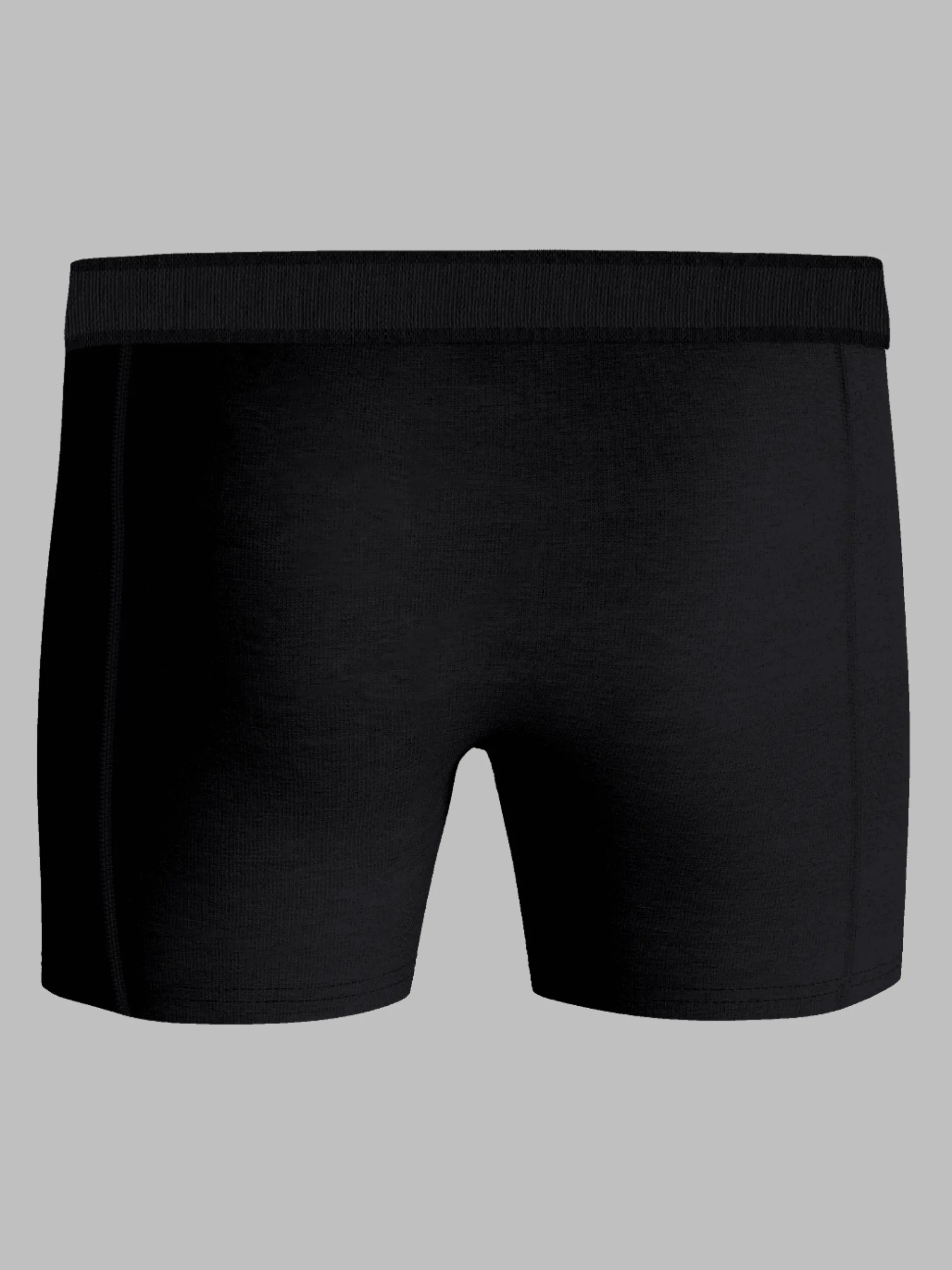 Organic Cotton Stretch Boxers 2-pack