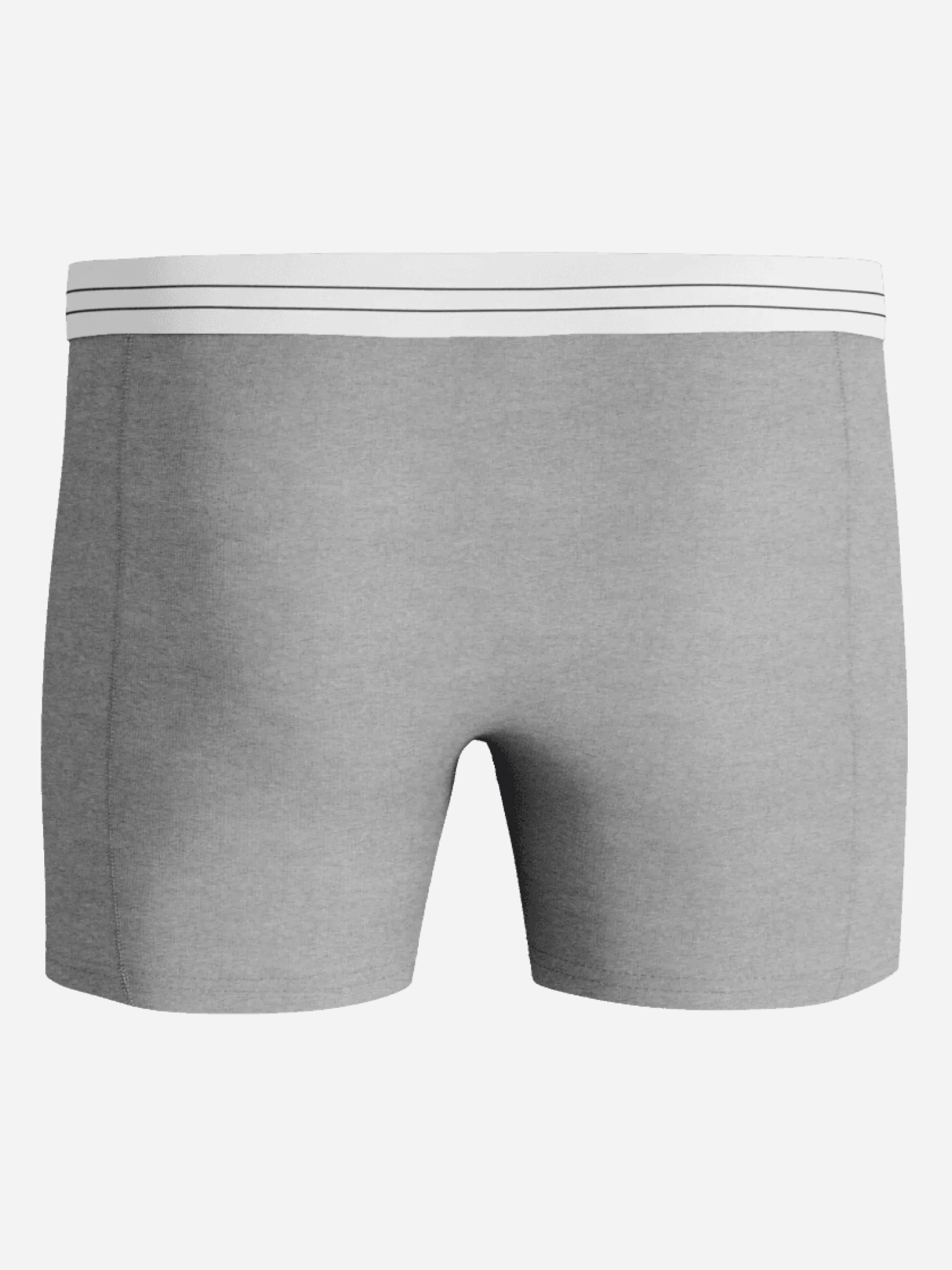 Viscose Cotton Blend Boxers 2-pack